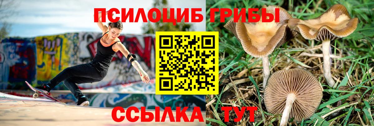 Сухой Лог  Галлюциногенные грибы мухоморы  Вход с VPN 