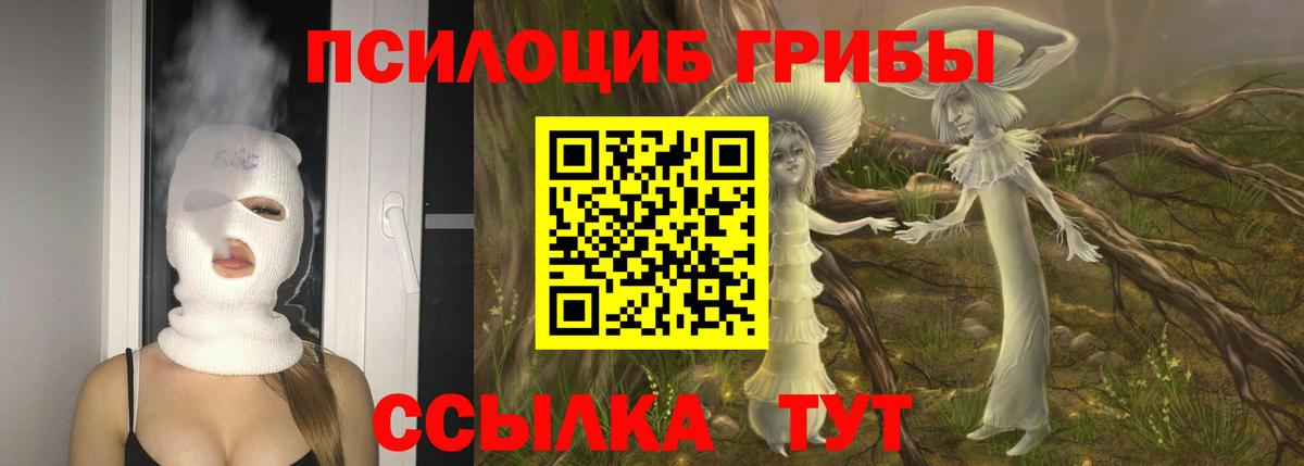 Галлюциногенные грибы GOLDEN TEACHER Сухой Лог